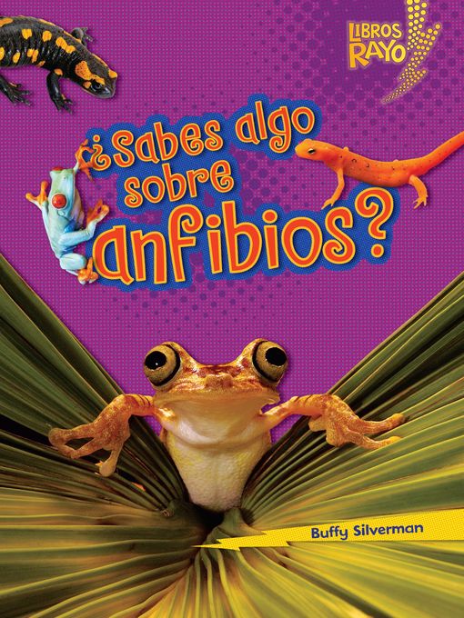 Title details for ¿Sabes algo sobre anfibios? (Do You Know about Amphibians?) by Buffy Silverman - Available
